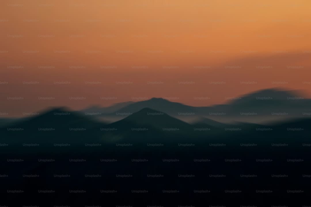 沈玉琳妻子现身 众星为沈玉琳加油打气